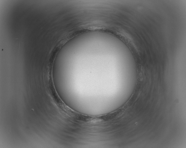 X0000073440210200607281040
