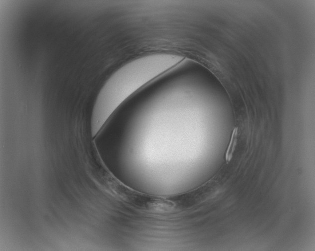 X0000073440215200607281039