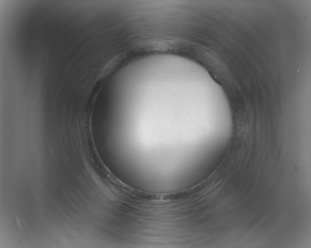 X0000073440216200607281039