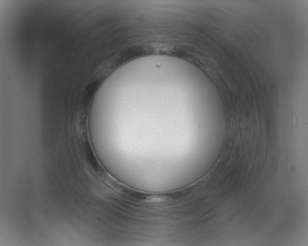 X0000073440218200607281039