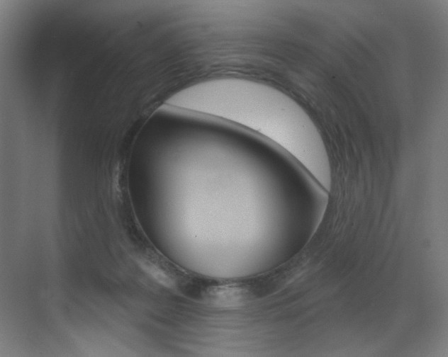 X0000073440219200607281039