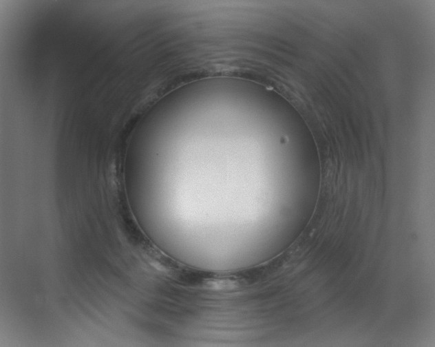 X0000073440220200607281039