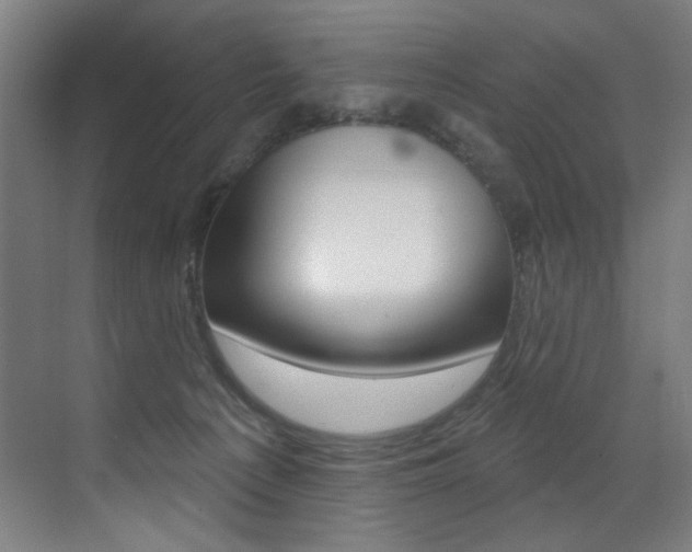X0000073440225200607281039
