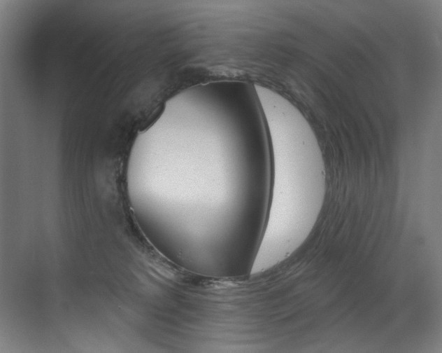 X0000073440229200607281039