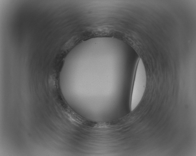 X0000073440231200607281039