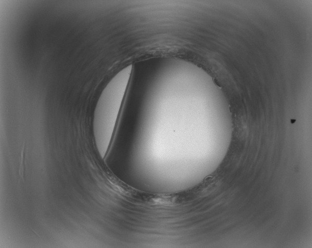 X0000073440232200607281039