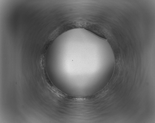 X0000073440233200607281039