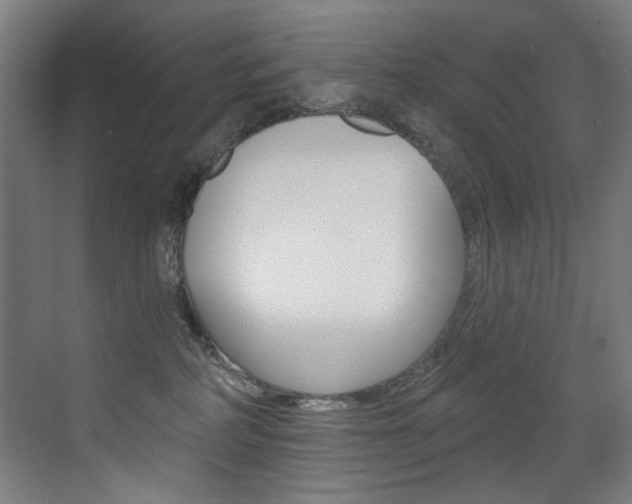 X0000073440234200607281039