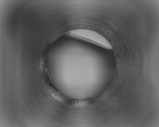 X0000073440235200607281039