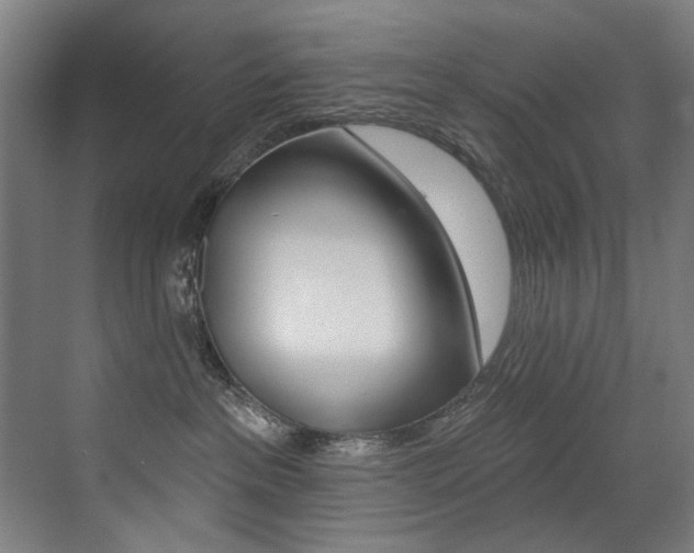 X0000073440237200607281039
