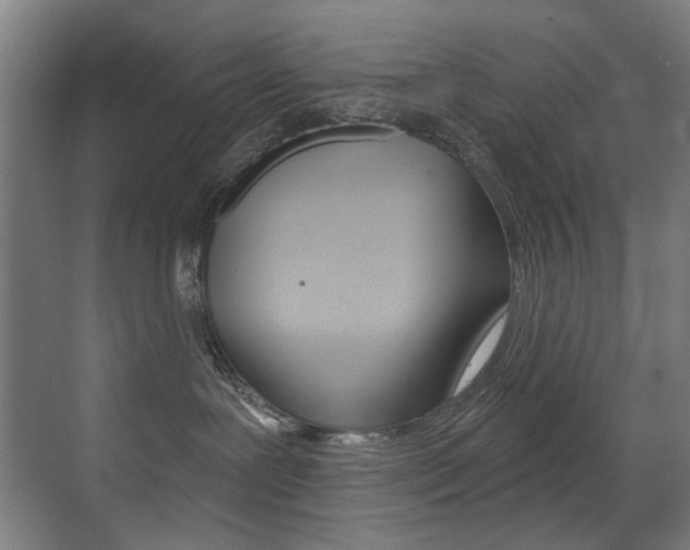 X0000073440239200607281039