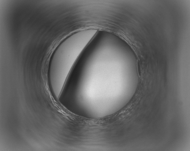 X0000073440241200607281038