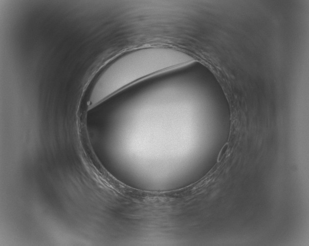 X0000073440242200607281038