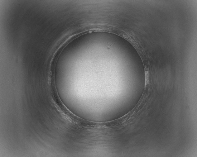 X0000073440243200607281038