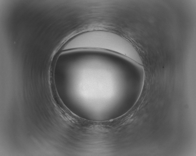 X0000073440244200607281038