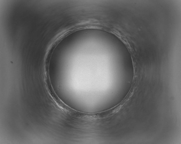 X0000073440245200607281038