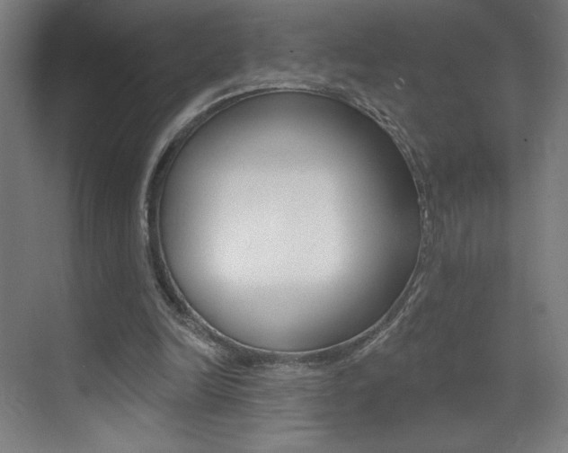 X0000073440246200607281038