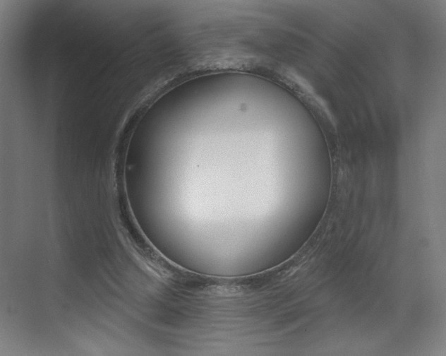 X0000073440250200607281038