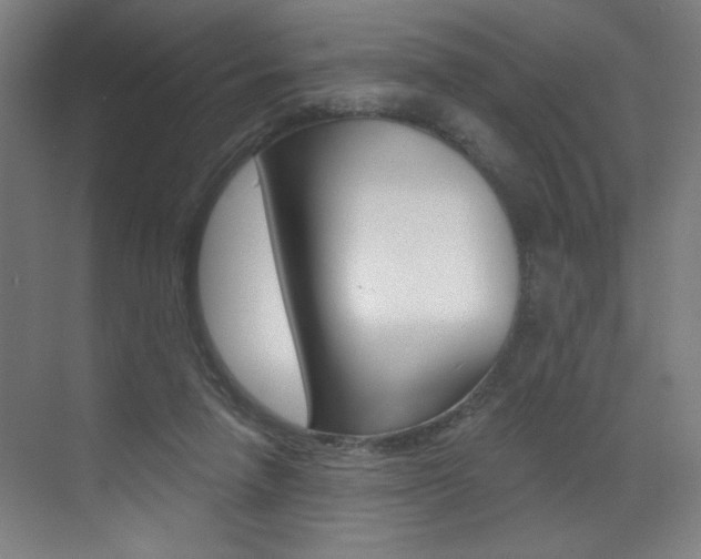 X0000073440258200607281039