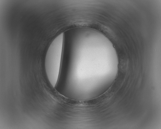 X0000073440259200607281039