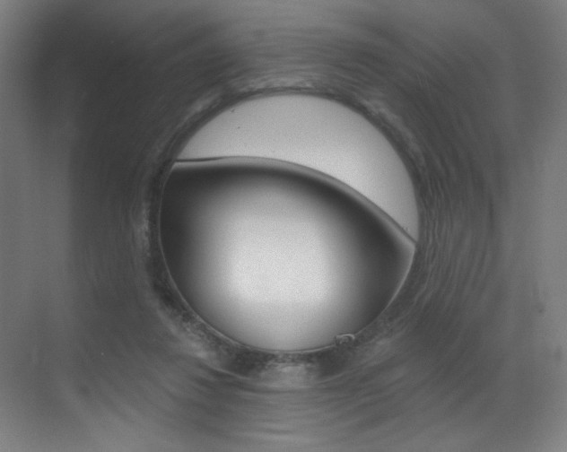 X0000073440260200607281039