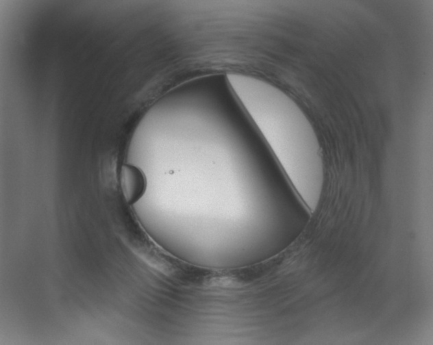 X0000073440262200607281039