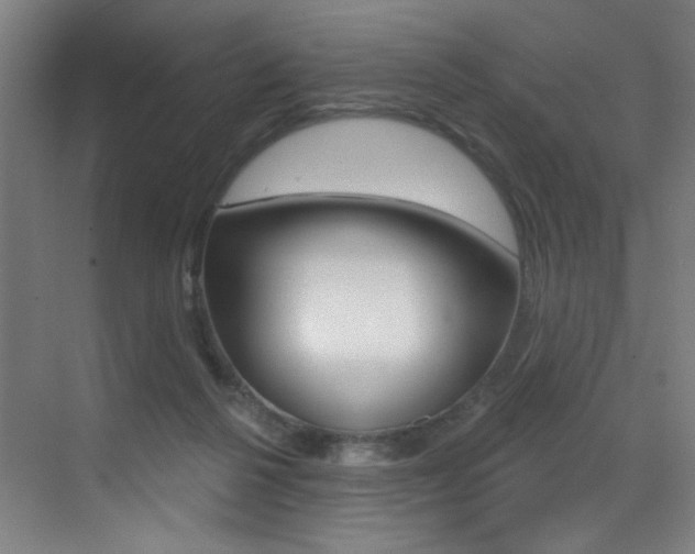 X0000073440264200607281039
