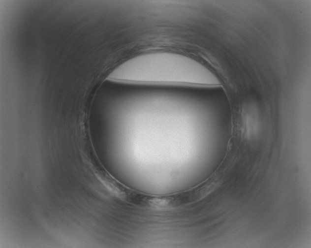 X0000073440265200607281039