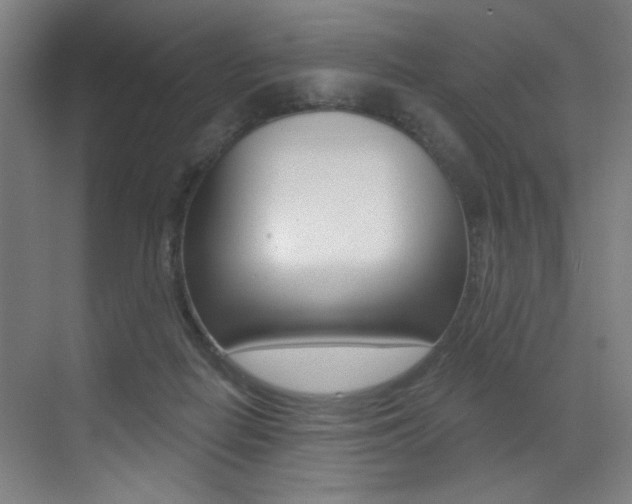 X0000073440266200607281039