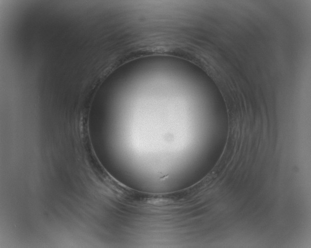 X0000073440268200607281039