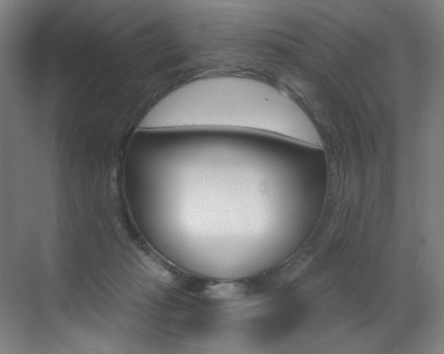 X0000073440269200607281039