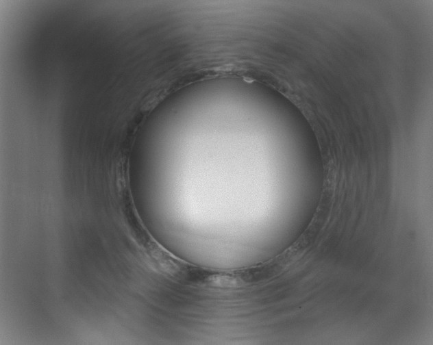 X0000073440272200607281039