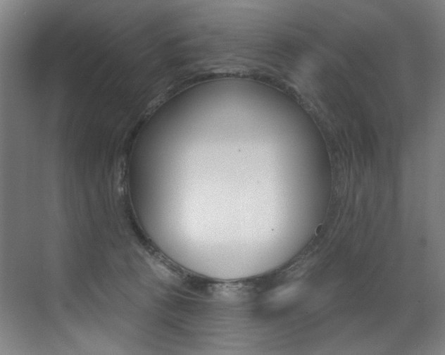 X0000073440273200607281039