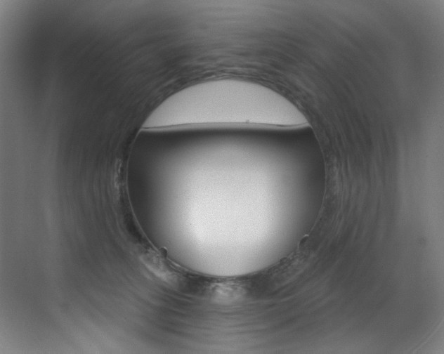 X0000073440275200607281039