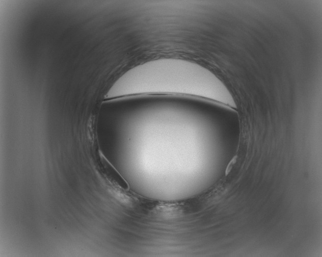 X0000073440280200607281039
