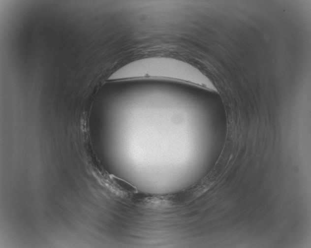 X0000073440284200607281039