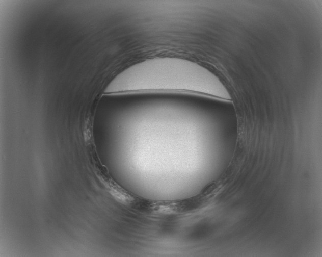 X0000073440285200607281039