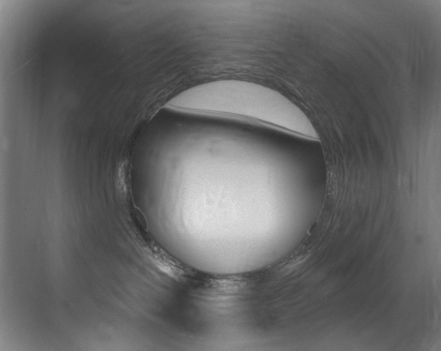 X0000073440286200607281039