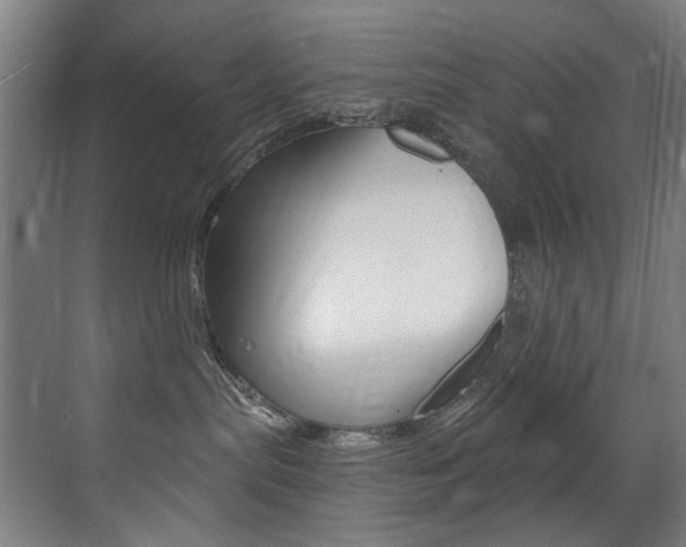 X0000073440287200607281039