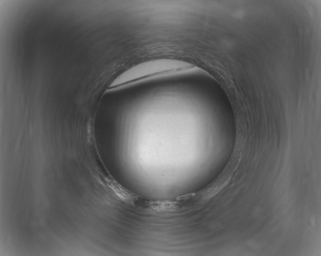 X0000073440288200607281039