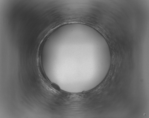X0000073440290200607281038