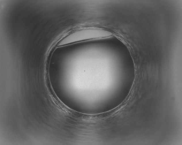X0000073440293200607281038