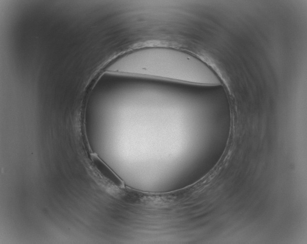 X0000073440297200607281038