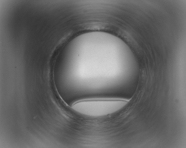 X0000073440304200607281038
