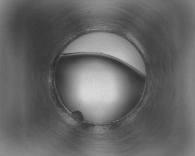 X0000073440305200607281038