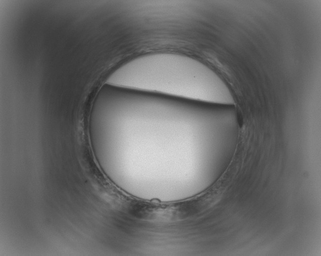 X0000073440306200607281038