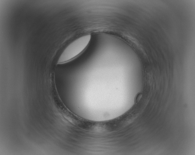 X0000073440308200607281038