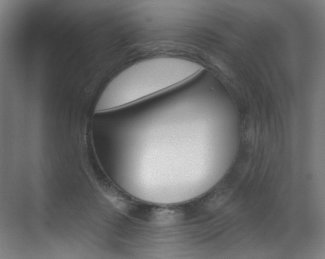 X0000073440315200607281038