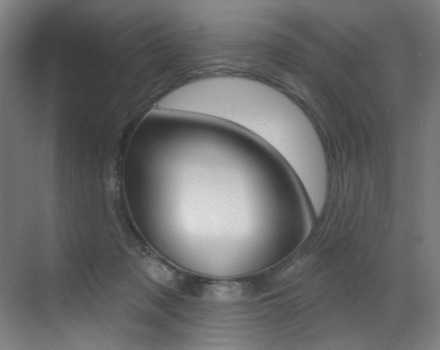 X0000073440317200607281038