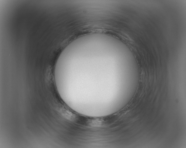 X0000073440318200607281038